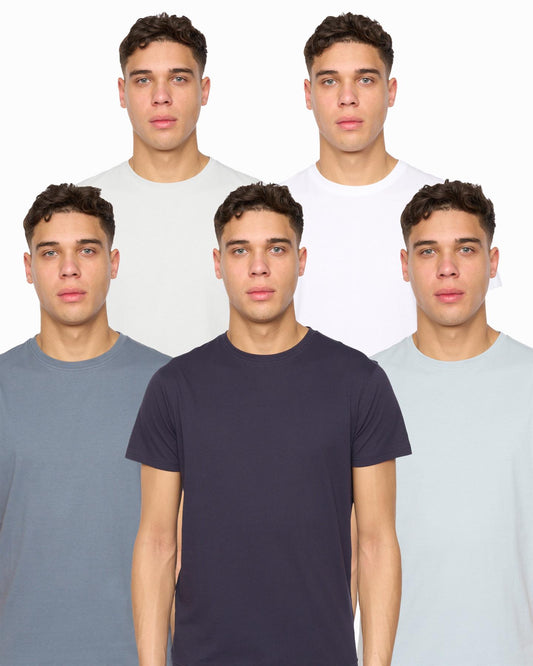 Demtare T-Shirt 5pk Assorted