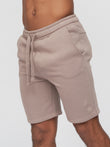 Shwartz Shorts Stone